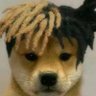 r ain's profile picture