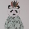 喵熊君 profil fotoğrafı
