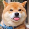 Profilbild von Ben哥