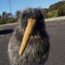 ウロチョロキウイ 的头像