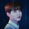 Profilbild von 🐨jikyu and hoonie lover🐼❤️ on limit