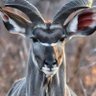 seddik profil fotoğrafı