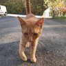 Don't worry's profile picture