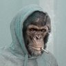 Profilbild von ClemZer