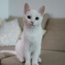 Happy's profile picture