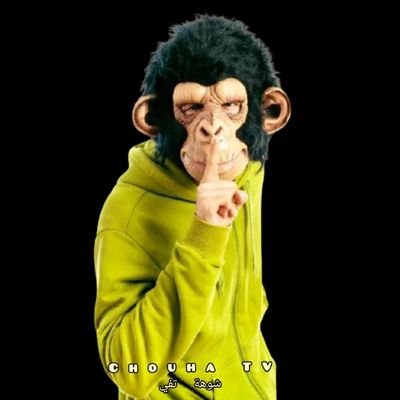 Choha.Tv شوهة تفي's profile picture