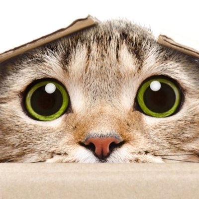 HiVxgvEpjvfiMU2's profile picture