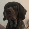 natty taz profil fotoğrafı