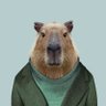 Shaun the Manager's profile picture