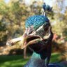 JohnE Glass's profile picture