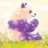 Profilbild von ✨美鳥✨