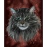 mici's profile picture
