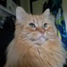 Grandma's profile picture