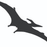 Profilbild von PteroDactilo