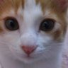 さつき profil fotoğrafı