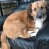 VarietyContent's profile picture