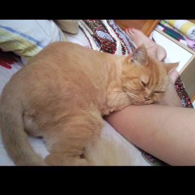 Janetma65933346's profile picture