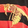 Фото профиля Sting