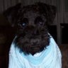 Фото профиля Filippo