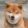 agency25's profile picture