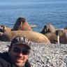 Michail The Bear's profile picture