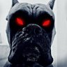 Cristhian Maraza's profile picture