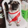 Coco Q.S 的头像