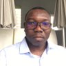 Serge Antoine BAMBARA 的头像
