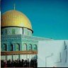ά∂𝔞𝕞✌🏻🇵🇸's profile picture