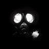 Profilbild von Ren