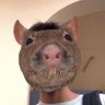 🐀Big Rats🐀 profil fotoğrafı