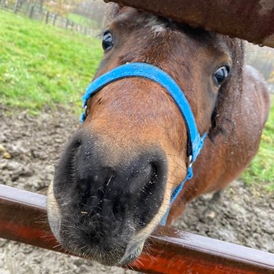 すず's profile picture