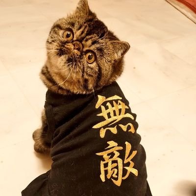 shuruna22's profile picture