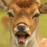 Mlocks's profile picture