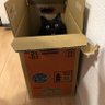 むぎ茶猫 的头像