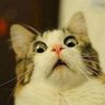 てぃす、 profil fotoğrafı
