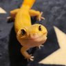 りよ profil fotoğrafı
