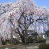 Profilbild von 高橋実