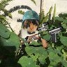 bruno's profile picture