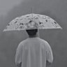 SD⁷'s profile picture