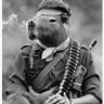 Carpincho profil fotoğrafı