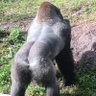 Zuuths profil fotoğrafı
