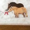 nancy mulkern's profile picture