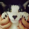 Profilbild von ushibaby