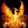 Фото профиля BigApplePhoenix