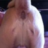 Profilbild von Re Bordosa