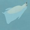 NASTEBOOL's profile picture