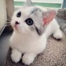 Laura 的头像