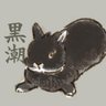 すずりいぬ🐰🐰🐰🐈 的头像