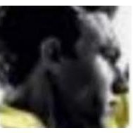 WaldemarKowall's profile picture